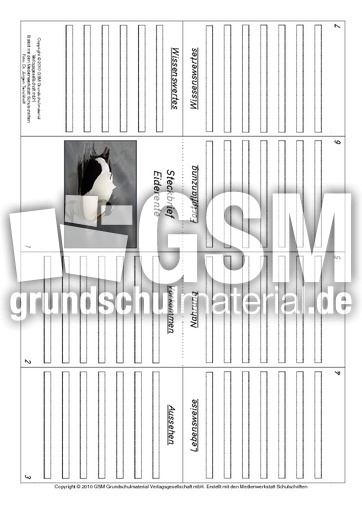 Faltbuch-Eiderente.pdf